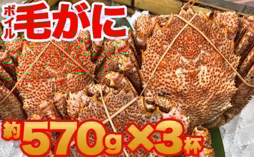 【訳あり】北海道産 冷凍ボイル毛がに（約570g×3杯）1.71kg かに 蟹 かにみそ 小分け 毛蟹 海産物 魚介類 水産物応援 水産物支援 年内発送 NP1-438