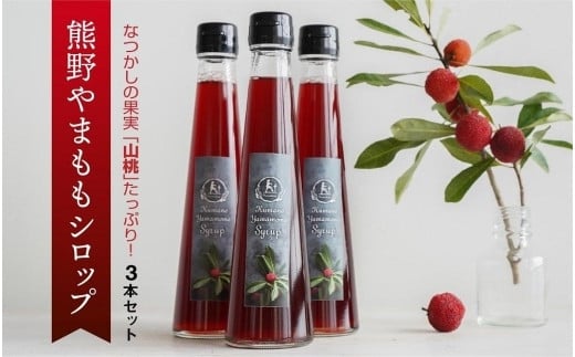 なつかしの果実たっぷり「熊野やまももシロップ」3本セット