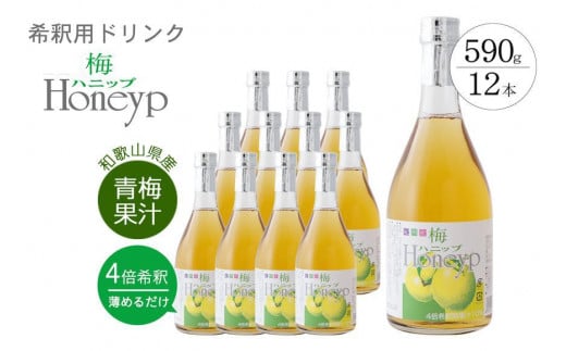 希釈用梅ドリンク 梅ハニップ 12本セット