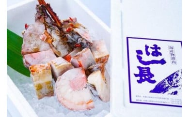 冷凍伊勢海老カット約1kg(サイズ不揃い)