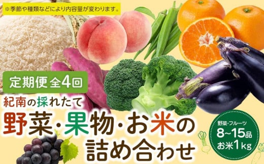 【年4回お届け(3・6・9・12月)】紀南の採れたて野菜・フルーツ定期便(春・夏・秋・冬)8~15品目詰め合わせ