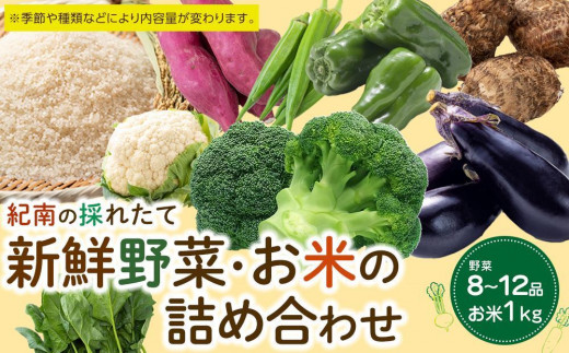 紀南の採れたて新鮮野菜・お米詰め合わせセット(8~12品目詰め合わせ)