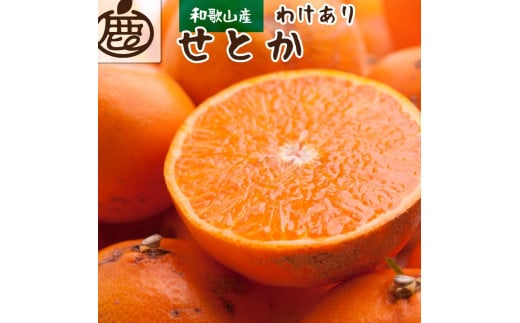 [先行予約]家庭用 せとか1kg+250g(傷み補償分)[柑橘・春みかんの王様][わけあり・訳あり][光センサー選果・食べ頃出荷]