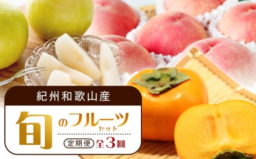 【7・8・10月 全3回】紀州和歌山産旬のフルーツセット(桃・梨・ひらたねなし柿)定期便 【魚鶴商店】【UT68】
