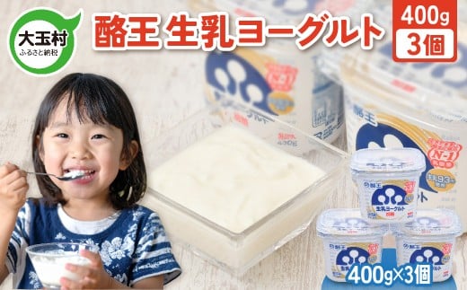 酪王 生乳 ヨーグルト 加糖 400g × 3個 | もったり 濃厚 クリーミー 香料 安定剤 不使用 乳酸菌 腸活 プロバイオティクス 健康 美容 福島 子ども 女性 大玉村 ご当地 乳製品 朝食 | pl-yo-400g-3s