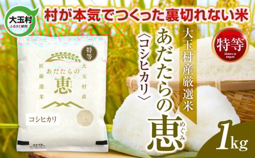 米 大玉村産厳選米「あだたらの恵」特等(品種:コシヒカリ) 1kg 《 令和7年産  》| 福島 大玉村 お米 米作り こしひかり 令和7年 精米 白米 こめ コメ ご飯 送料無料 大玉村農業振興公社 | on-akt-1kg-r7