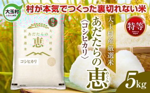 米 大玉村産厳選米「あだたらの恵」特等(品種:コシヒカリ) 5kg 《 令和7年産  》| 福島 大玉村 お米 米作り こしひかり 令和7年 精米 白米 こめ コメ ご飯 送料無料 大玉村農業振興公社 | on-akt-5kg-r7