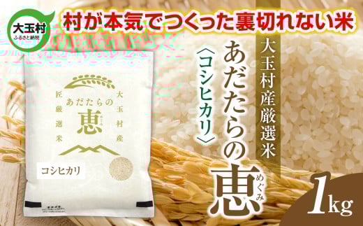 米 大玉村産厳選米「あだたらの恵」(品種:コシヒカリ) 1kg 《 令和7年産  》| 福島 大玉村 お米 米作り こしひかり 令和7年 精米 白米 こめ コメ ご飯 送料無料 大玉村農業振興公社 | on-ak-1kg-r7