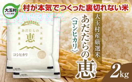 米 大玉村産厳選米「あだたらの恵」(品種:コシヒカリ) 2kg 《 令和7年産  》| 福島 大玉村 お米 米作り こしひかり 令和7年 精米 白米 こめ コメ ご飯 送料無料 大玉村農業振興公社 | on-ak-2kg-r7