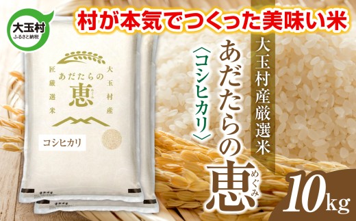 米 大玉村産厳選米「あだたらの恵」(品種:コシヒカリ) 10kg 《 令和7年産  》| 福島 大玉村 お米 米作り こしひかり 令和7年 精米 白米 こめ コメ ご飯 送料無料 大玉村農業振興公社 | on-ak-10kg-r7