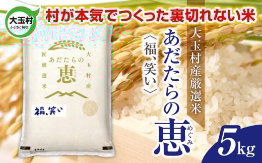 米 大玉村産厳選米「あだたらの恵」(品種:福、笑い) 5kg 《 令和7年産  》| 福島 大玉村 お米 米作り 福、笑い 令和7年 精米 白米 こめ コメ ご飯 送料無料 大玉村農業振興公社 | on-af-5kg-r7