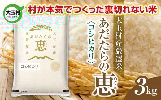 米 大玉村産厳選米「あだたらの恵」（品種：コシヒカリ） 3kg 《 令和7年産  》｜ 福島 大玉村 お米 米作り こしひかり 令和7年 精米 白米 こめ コメ ご飯 送料無料 大玉村農業振興公社 ｜ on-ak-3kg-r7