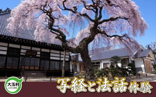 写経と法話体験【10004】