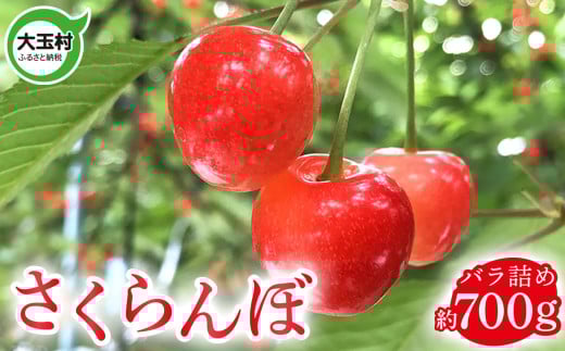 [5月31日入金分まで]さくらんぼ バラ詰め 700g [令和7年先行予約]※6月上旬以降順次発送 品種おまかせ( 正光錦 / 佐藤錦 ) 福島県 大玉村 産 | サクランボ 旬 果物 果実 くだもの フルーツ 新鮮 | om-sr700-R7