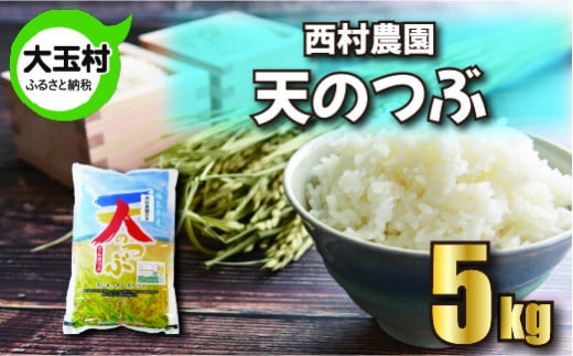 米 5kg 令和6年 天のつぶ  特別栽培米 西村農園 | 福島県 大玉村 お米 令和6年産 2024年産 コメ 精米 白米 テンノツブ |nm-tt05-R6