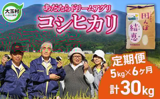 米 定期便 5kg 6か月 コシヒカリ 合計 30kg 特別栽培米【 令和7年産  】【 おいしいお米コンクール 受賞米 あだたら ドリームアグリ 】 こしひかり 福島県 大玉村 精米 米作り | da-kh05-t6-r7