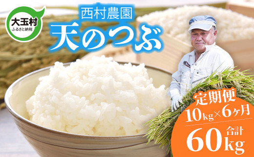 米 定期便 天のつぶ 60kg ( 10kg × 6ヶ月 ) 《 令和6年 》 福島県 大玉村 西村農園  | てんのつぶ テンノツブ 精米 定期 6回 コメ | nm-tt10-t6-R6