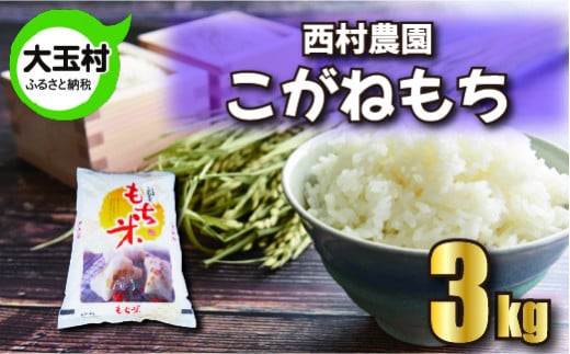 もち米 こがねもち 3kg 《 令和6年 》 西村農園 | 餅米 餅こめ 米 餅 もち モチ おこわ 炊き込みご飯 福島県 大玉村 |nm-km03-R6