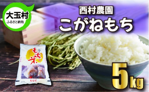 もち米 こがねもち 5kg 《 令和6年 》 西村農園 | 餅米 餅こめ 米 餅 もち モチ おこわ 炊き込みご飯 福島県 大玉村 |nm-km05-R6
