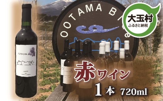 【数量限定】ワイン 赤 メルロ種 720ml 1本(ootama blue)【20001】