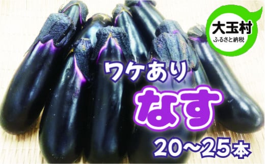 訳あり わけあり 野菜 不揃い ナス 20本~25本 《数量限定》 新鮮 夏野菜 大玉村 もったいない野菜 【01092】 なす 茄子 SDGs 余剰野菜 フードロス 食品ロス