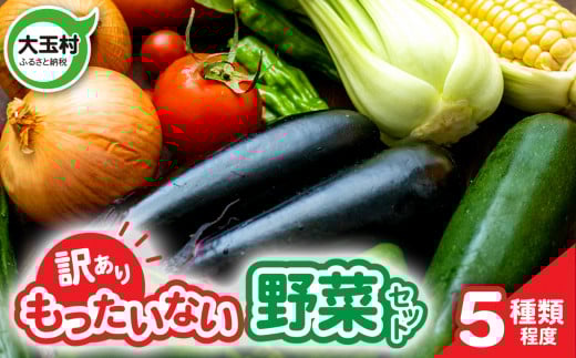 訳あり 野菜 セット  ( 5種類 程度 )  4000円 フードロス 余剰 野菜 使い切りサイズ 少量セット 一人暮らし 食べ切り 食べ切り野菜 地元農家応援 不揃い 規格外 5000円 5000円以下 SDGs |送料無料 福島県 大玉村 01105