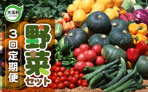 野菜 セット  (全3回)  先行 予約・ 定期便  |旬 の 野菜 10品目 前後 お届け|トマト 大根 小松菜 ねぎ にんじん ピーマン きゅうり ナス 他|新鮮 野菜詰め合わせ 無農薬 直送 定期 野菜便 福島県 大玉村 01107