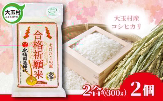 【令和6年産】 合格祈願米 コシヒカリ 真空米 2合 ( 300g )×2個 受験 御利益 合格 ご祈祷 願掛け【as-skgk02-R6】