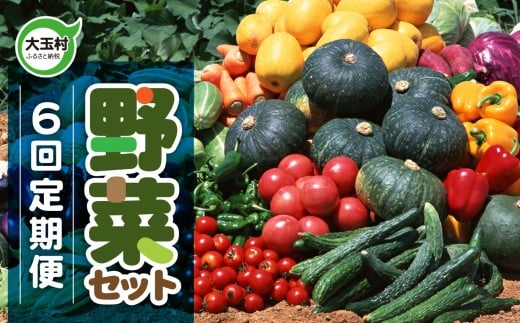 野菜 セット  (全6回)  先行 予約・ 定期便 旬 の 野菜 10品目 前後 お届け|トマト 大根 小松菜 ねぎ にんじん ピーマン きゅうり ナス 他|新鮮 野菜詰め合わせ 無農薬 直送 定期 野菜便 福島県 大玉村 01108