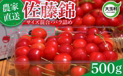 さくらんぼ 佐藤錦 500g 2026 年産 先行予約 バラ詰め サイズ混合(M/L/LL) | 朝採れ もぎたて 農家直送 産地直送 果物 フルーツ 旬 新鮮 お取り寄せ ギフト 贈り物 サクランボ 令和8年分 福島県 大玉村 菊地果樹園 | OT20-004-R8