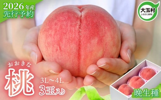 もも 先行予約 桃 福島 大玉村 大きいサイズ ( 3L 〜 4L ) 3玉 (約1kg) 2026年産 8月中旬~9月下旬発送 | 令和8年産 農家直送 もぎたて 朝獲れ 菊地果樹園 福島県 大玉 産 川中島白桃 さくら ゆうぞら 晩生種 旬 フルーツ 果物 ジャム モモ ギフト 贈答 | kk-mm01-R8