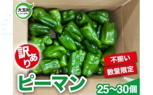 訳あり わけあり 野菜 不揃い ピーマン 25~30個 《数量限定》 新鮮 夏野菜 大玉村 もったいない野菜 |  SDGs 余剰野菜 フードロス 食品ロス | om-pmwa-R6