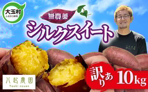 訳あり さつまいも シルクスイート 10kg 無農薬 | 規格外 不揃い サイズ混合 国産 土付き 芋 スイートポテト サツマイモ  福島県 大玉村  |yn-sm-wa-s-10kg-r6