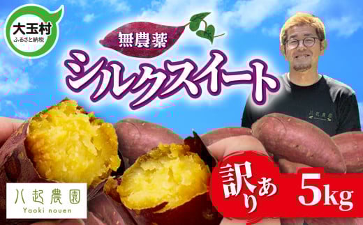 訳あり さつまいも シルクスイート 5kg 無農薬 | 規格外 不揃い サイズ混合 土付き わけあり サツマイモ スイートポテト 芋 さつま芋 福島県 大玉村  | yn-sm-wa-s-5kg-r6