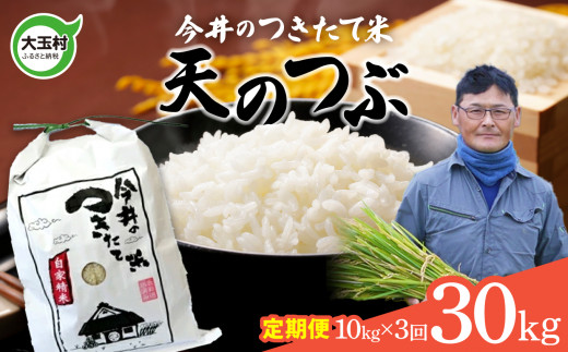 【 令和6年産  】 【 今井のつきたて米 】 天のつぶ 30kg ( 毎月 10kg × 3回 )【OT08-025-R6】 福島県 大玉村 てんのつぶ テンノツブ 米 定期便 今井農園