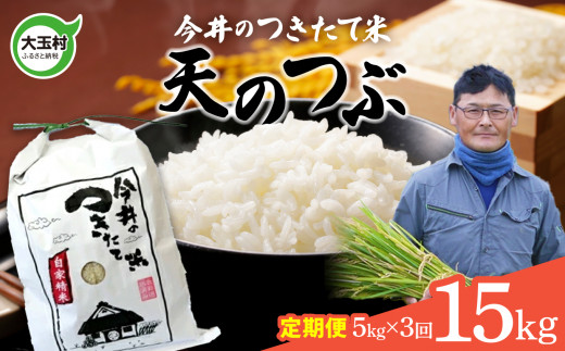 【 令和6年産  】 【 今井のつきたて米 】 天のつぶ 15kg (毎月 5kg×3回)【OT08-022-R6】 福島県 大玉村 てんのつぶ テンノツブ 米 定期便 今井農園