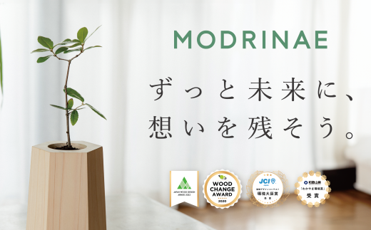 【どんぐりを育て、森に返す】 戻り苗 オリジナルデザイン対応 （ヒノキの鉢タイプ） 1セット ※2025年秋頃から配送 / 観葉植物 苗 苗木 植物 育苗 鑑賞 鉢植え 和歌山 ギフト 贈り物 どんぐり 紀州材 檜 ソマノベース 森【smn002】