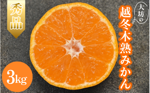 【2026年分先行予約】大坊の越冬木熟みかん 3kg ※2026年1月上旬～2月上旬頃に順次発送予定【期間限定・数量限定】 / みかん 蜜柑 3キロ お取り寄せ 産地直送 贈答品 ギフト 果物 くだもの フルーツ 田辺市 和歌山県【ymh021】