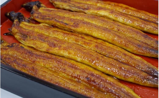 [土用の丑の日]国産うなぎ蒲焼大サイズハーフカット(頭尾なしで1袋70g以上)×3袋セット / 田辺市 国産 国産うなぎ 国産鰻 うなぎ 鰻 鰻丼 うな丼 土用の丑の日 [ots005-dy]