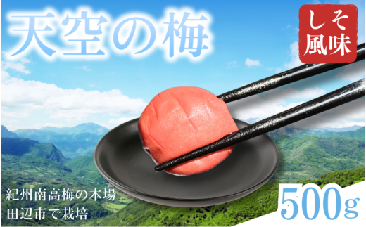 天空の梅 500g / しそ 梅干し うめぼし 梅干 田辺市 紀州南高梅 南高梅 梅干し うめ 肉厚 お米 おにぎり 焼酎 梅酒 健康 ご飯のお供[hii001]