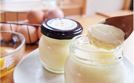 龍神コッコのプリン 8個入り / 田辺 龍神 お菓子 おかし 洋菓子 おやつ スイーツ デザート 濃厚 ぷりん 詰め合わせ セット ギフト 贈答 プレゼント お祝い お土産 【hoc002】