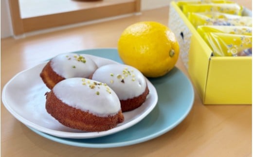 HOCCOのレモンケーキ 6個入り / 田辺 龍神 お菓子 おかし 洋菓子 おやつ スイーツ デザート ケーキ 詰め合わせ セット ギフト 贈答 プレゼント お祝い お土産 [hoc003]