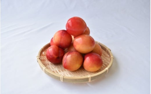 ＜先行予約＞すもも（大石）約500g×8パック ※2026年5月中旬～6月中旬頃に順次発送予定【期間限定・数量限定】 / スモモ プラム 冷蔵 季節限定 お取り寄せ 産地直送 贈答品 ギフト 果物 フルーツ 田辺市 和歌山県【ymh023】