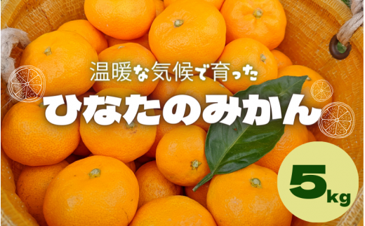 ＜先行予約＞ひなたのみかん　5kg （箱込み）※2025年12月頃に順次発送予定【期間限定・2025/12/25まで】 / みかん 田辺市 柑橘 期間限定 先行予約 ミカン 和歌山 紀州【okm005】