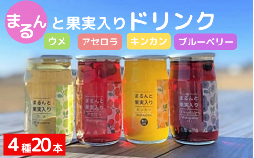 まるんと果実入りドリンク4種20本セット / 田辺市 ドリンク ジュース 果実ドリンク 梅ドリンク きんかんドリンク アセロラドリンク ブルーベリードリンク 梅 きんかん アセロラ ブルーベリー 和歌山県産 沖縄県産 ジュースセット【asr002】