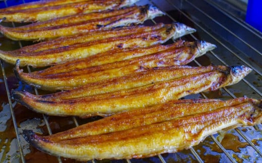 国産うなぎ蒲焼 大サイズハーフカット(頭尾なしで1袋70g以上)×8袋セット / 和歌山 田辺市 国産 国産うなぎ 国産鰻 うなぎ 鰻 蒲焼 かば焼き 土用の丑の日 冷凍【ots004】
