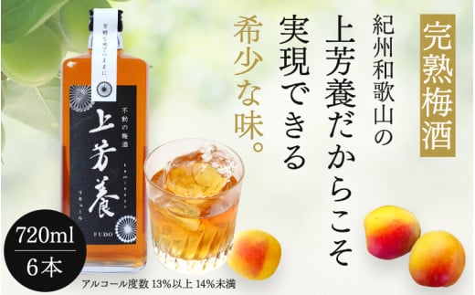 完熟梅酒「上芳養」(アルコール度数13%以上14%未満)720ml×6本  / 和歌山県 和歌山県産 不動農園 上芳養 田辺市 南高梅 紀州南高梅 完熟梅 梅酒 お酒 無添加梅酒 無添加 ロック 水割り 宅飲み 家飲み【hdu004-2】