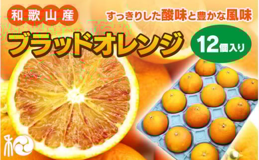 【2026年予約】三栖産 ブラッドオレンジ  『純のタロッコ』　12個入 ※2026年3月上旬～下旬頃に順次発送予定【先行予約・2026年2月末まで（無くなり次第終了）】 / 和歌山県 ブラッドオレンジ 完熟 オレンジ 国産 大玉 健康【ngm007-1】