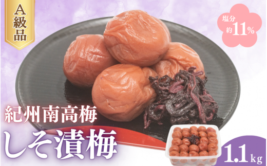 しそ漬梅(塩分約11%)1.1kg  / 田辺市 紀州南高梅 南高梅 梅干し 梅干 梅 うめ 肉厚 お米 おにぎり 焼酎 梅酒 健康 しそ 紫蘇 しそ漬け【fuz007-1】