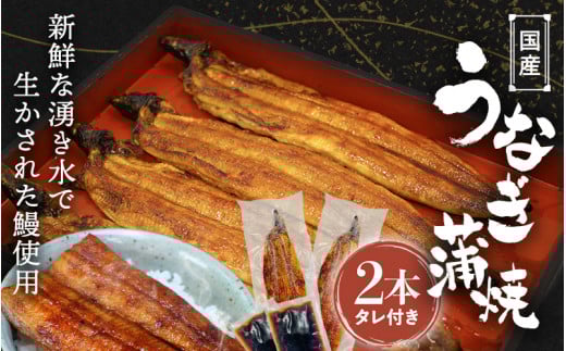 国産うなぎ蒲焼(2本)タレ付き / うなぎ 鰻 うなぎ 蒲焼き うなぎ蒲焼 和歌山 田辺市 国産 国産うなぎ 国産鰻 鰻丼 うな丼 土用の丑の日 [ots016]